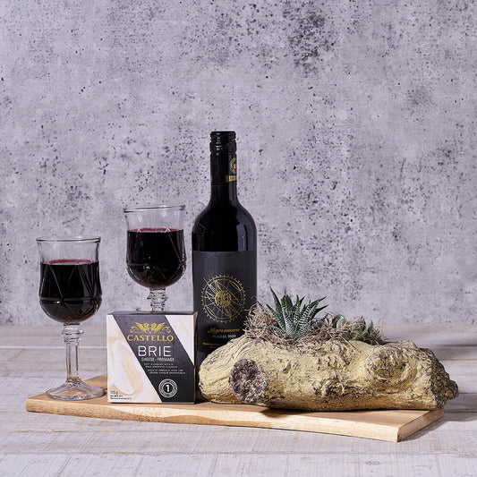 Smooth Indulgence Wine Gift Set, wine gift, wine, succulent gift, succulent, plant gift, plant, gourmet gift